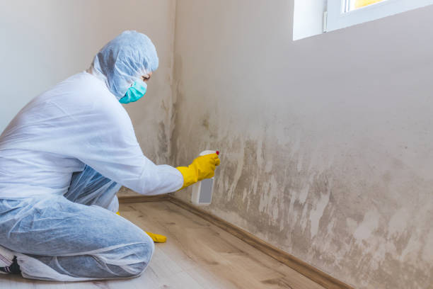 Licensed Mold Testing service in North Bend, OR - WQB Mold Removal