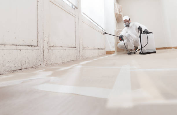 24/7 Emergency Mold Testing experts in North Bend, OR
