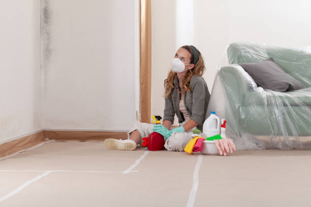 Reliable Mold Testing contractor in North Bend, OR by WQB Mold Removal