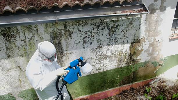 Top rated local Mold Testing specialists in North Bend, OR
